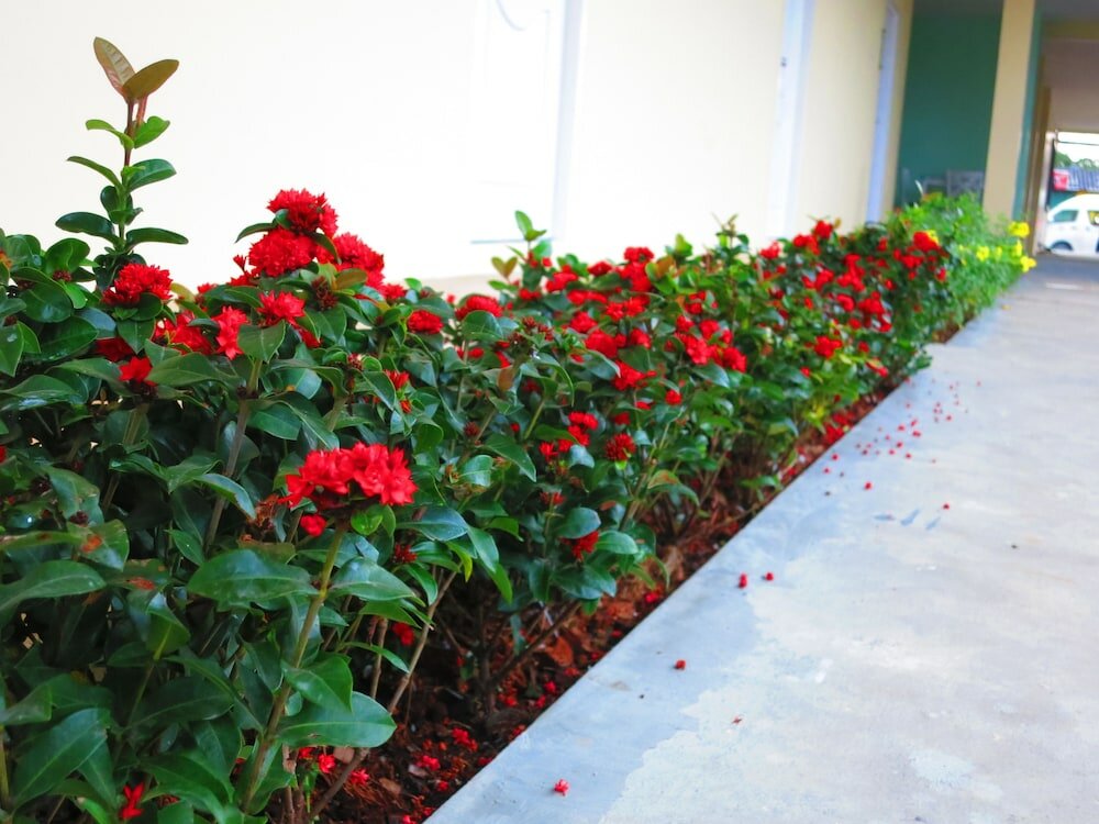 Фото Winrisa Place