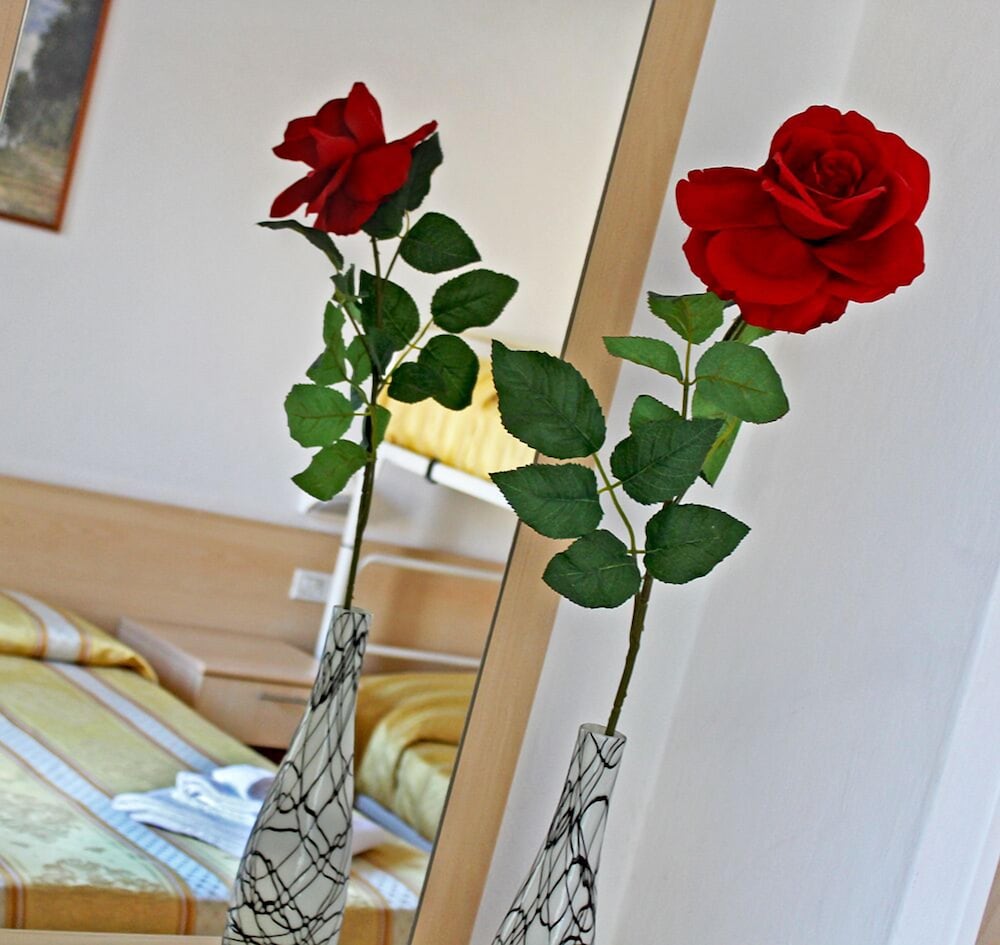 Фото Hotel New Primula