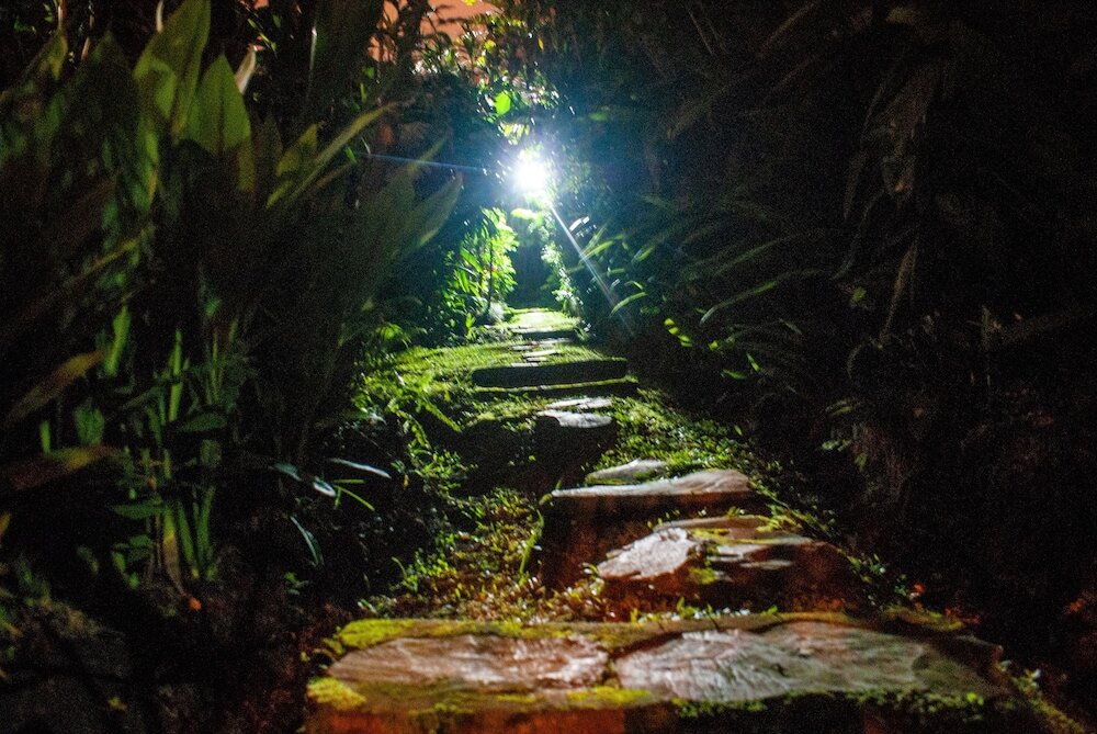 Фото Hotel Le Bergerac