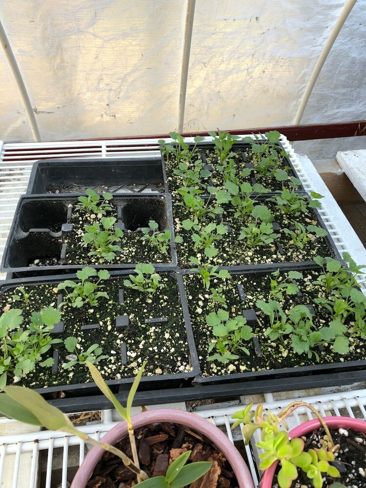 Фото Heartwood Mountain Sanctuary