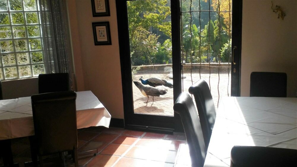 Фото Southern Light Country House