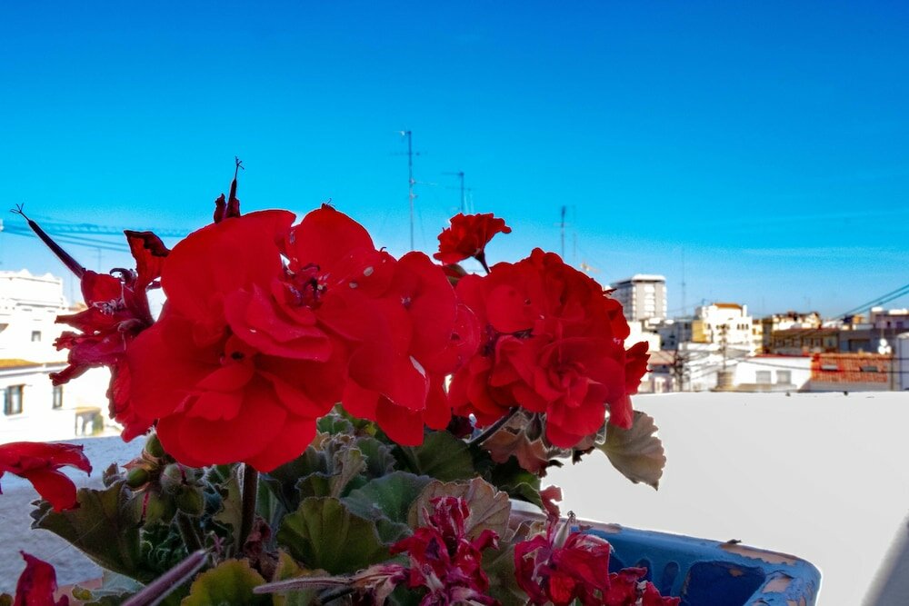 Фото Hi Valencia Cánovas