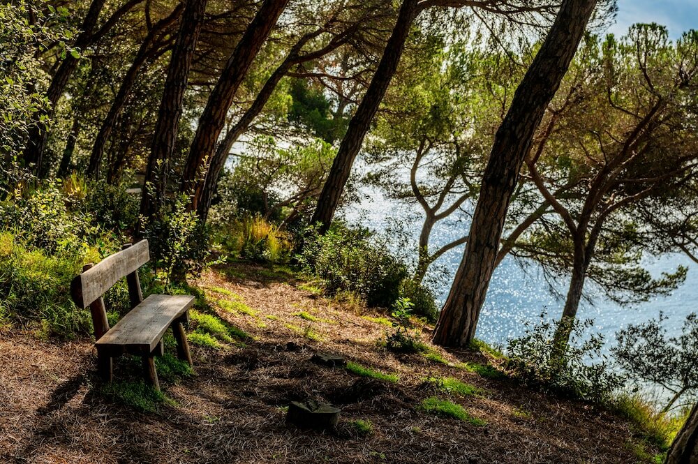 Фото Albamar Apartaments