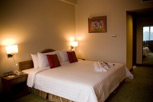 Гостиница The Centrepoint Hotel