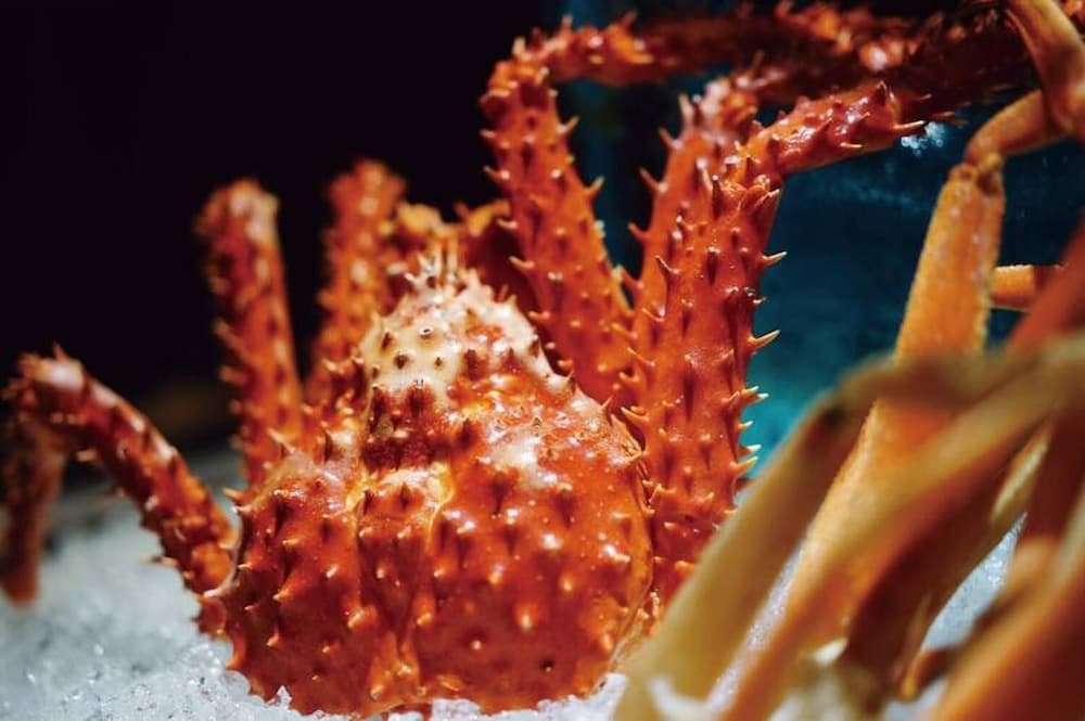 Фото Landison Plaza Hotel Ningbo