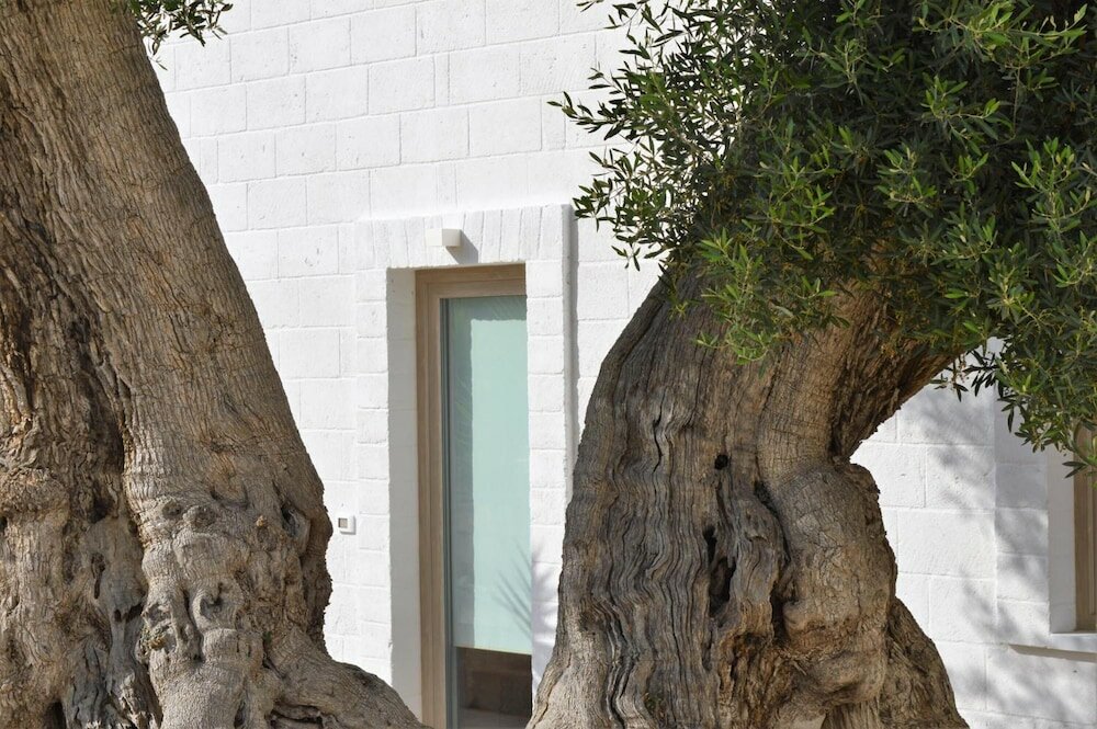 Фото Masseria Torrepietra