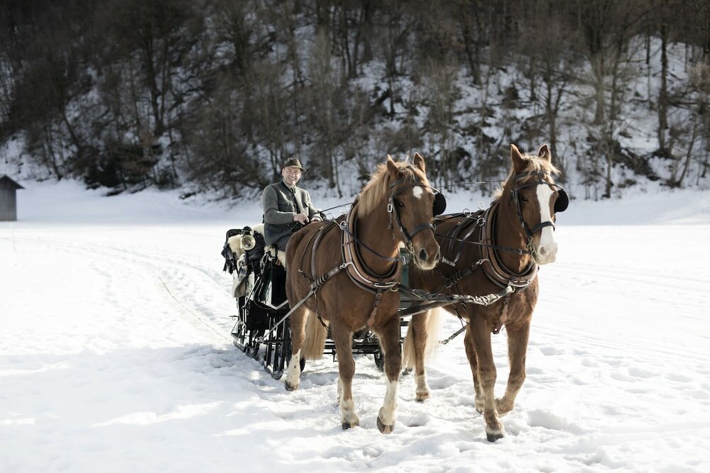 Фото Werdenfelserei