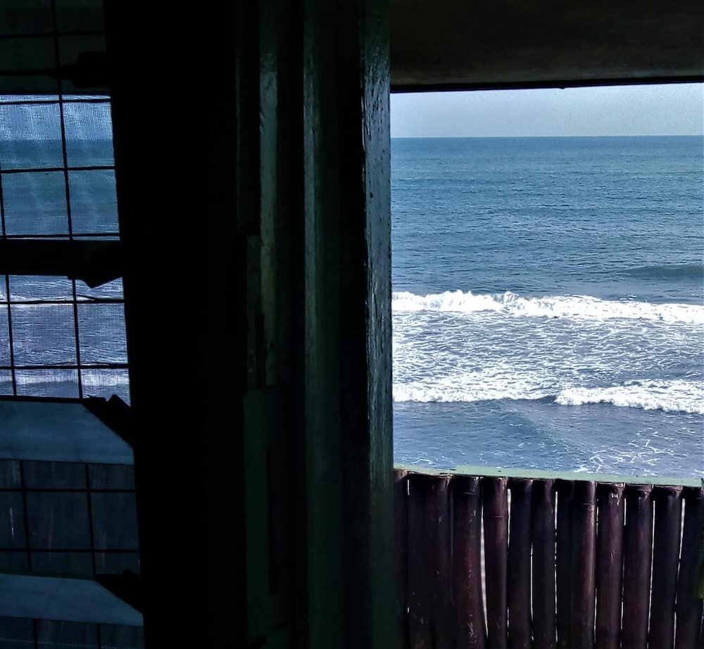 Фото Rising Phoenix