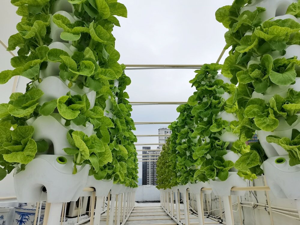 Фото Shenzhen Shanghai Hotel