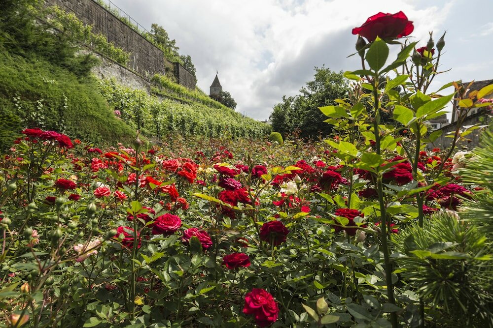 Фото Sorell Hotel Speer