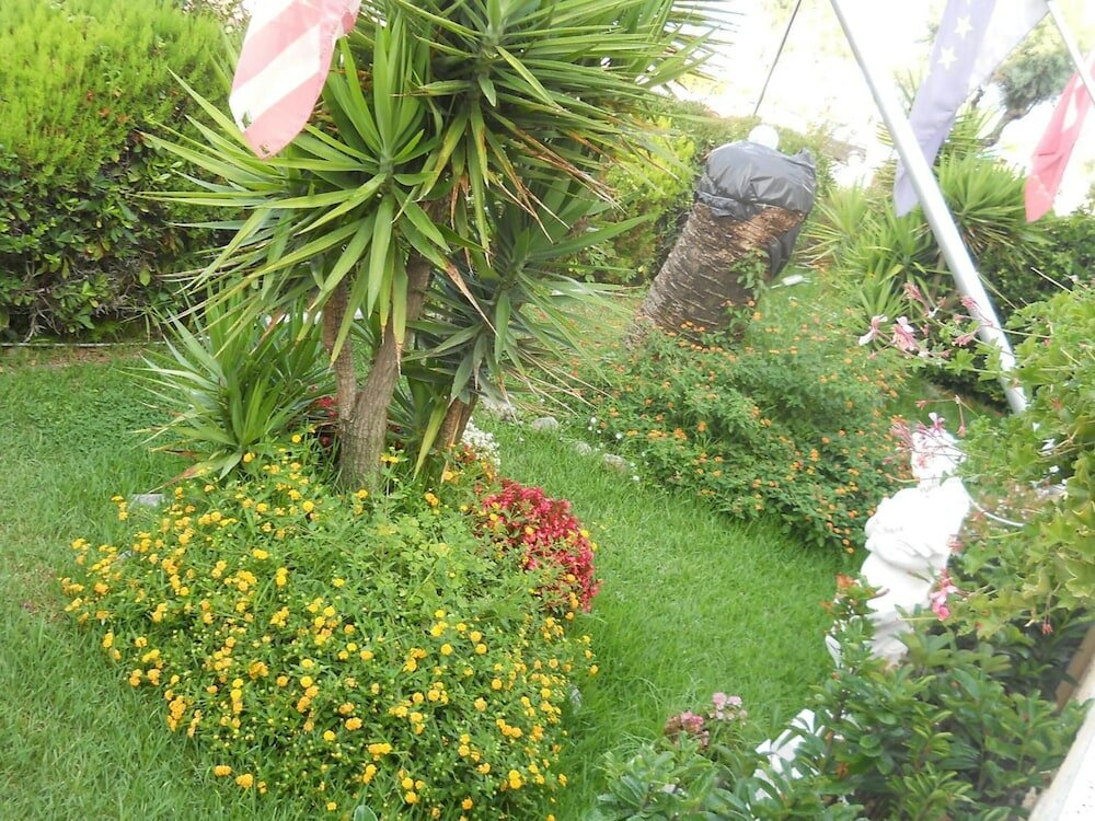 Фото Hotel Harmony