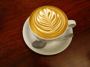 Гостиница Hotel Shelton