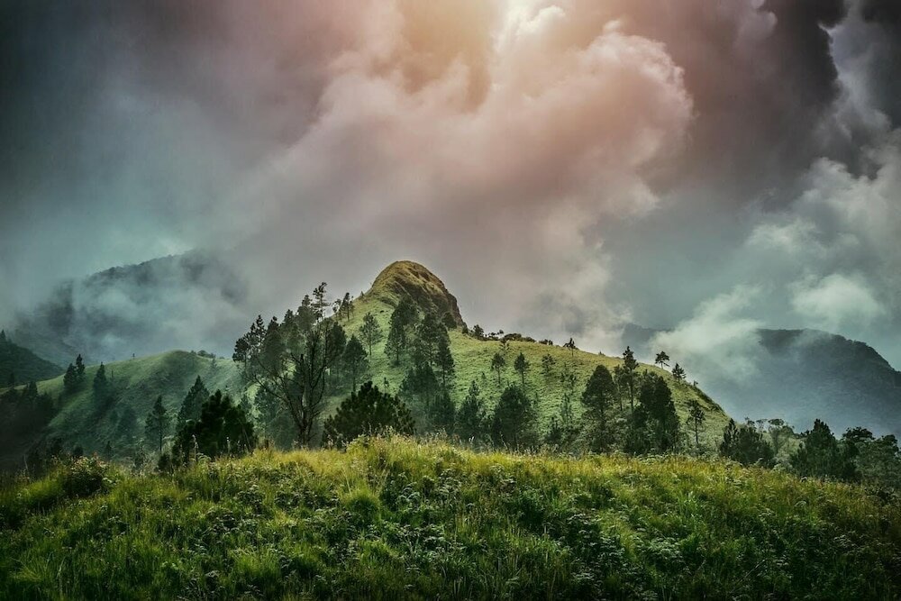 Фото The Capoe House