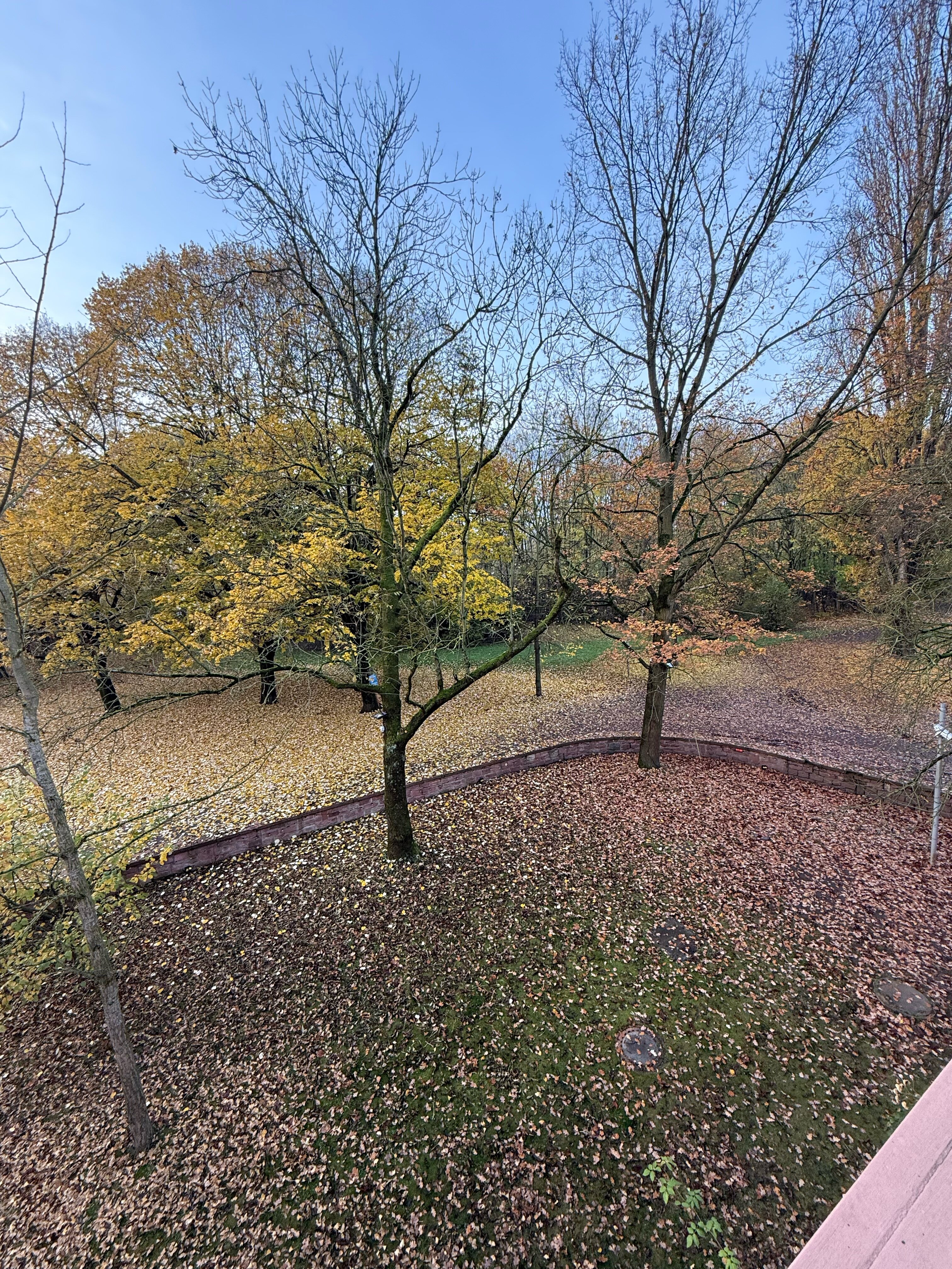 Фото Hotel Gerbermühle