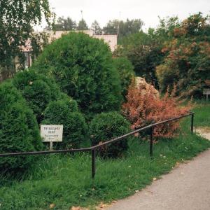 Фото Отель Парк Птиц