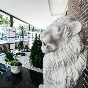 Фото Монарх