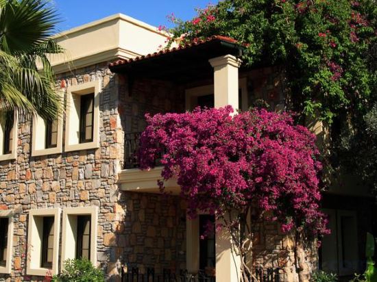 Фото Zeytinada Hotel