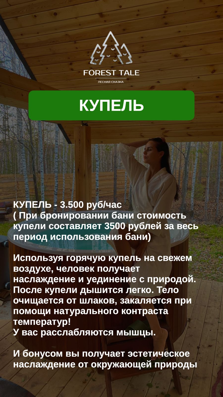 Фото Forest tale