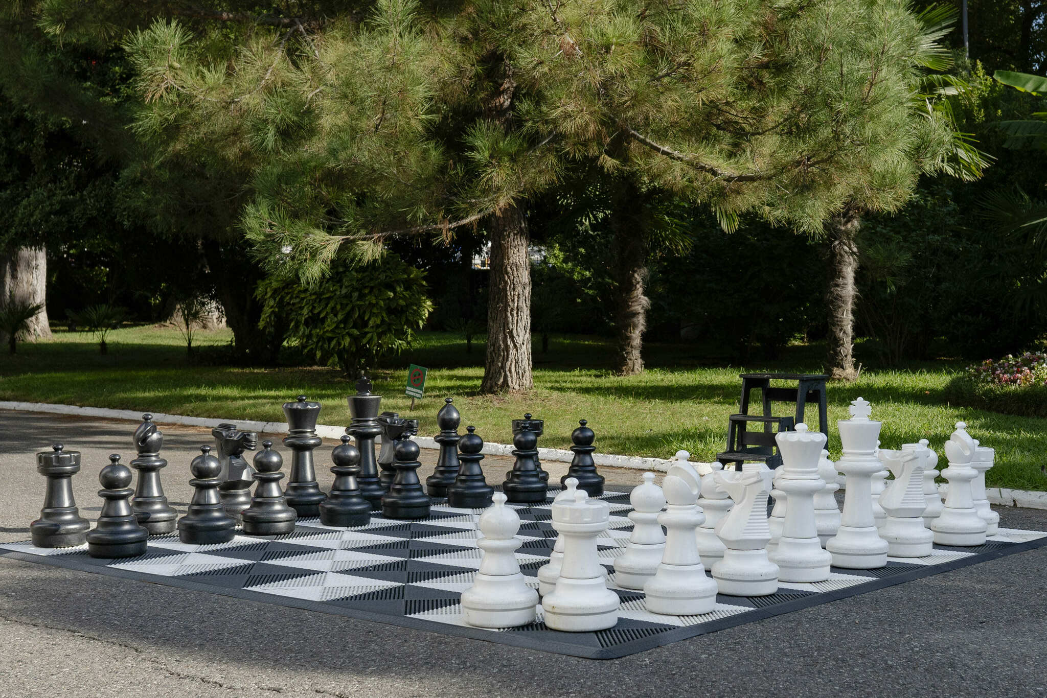 Фото Бирюза