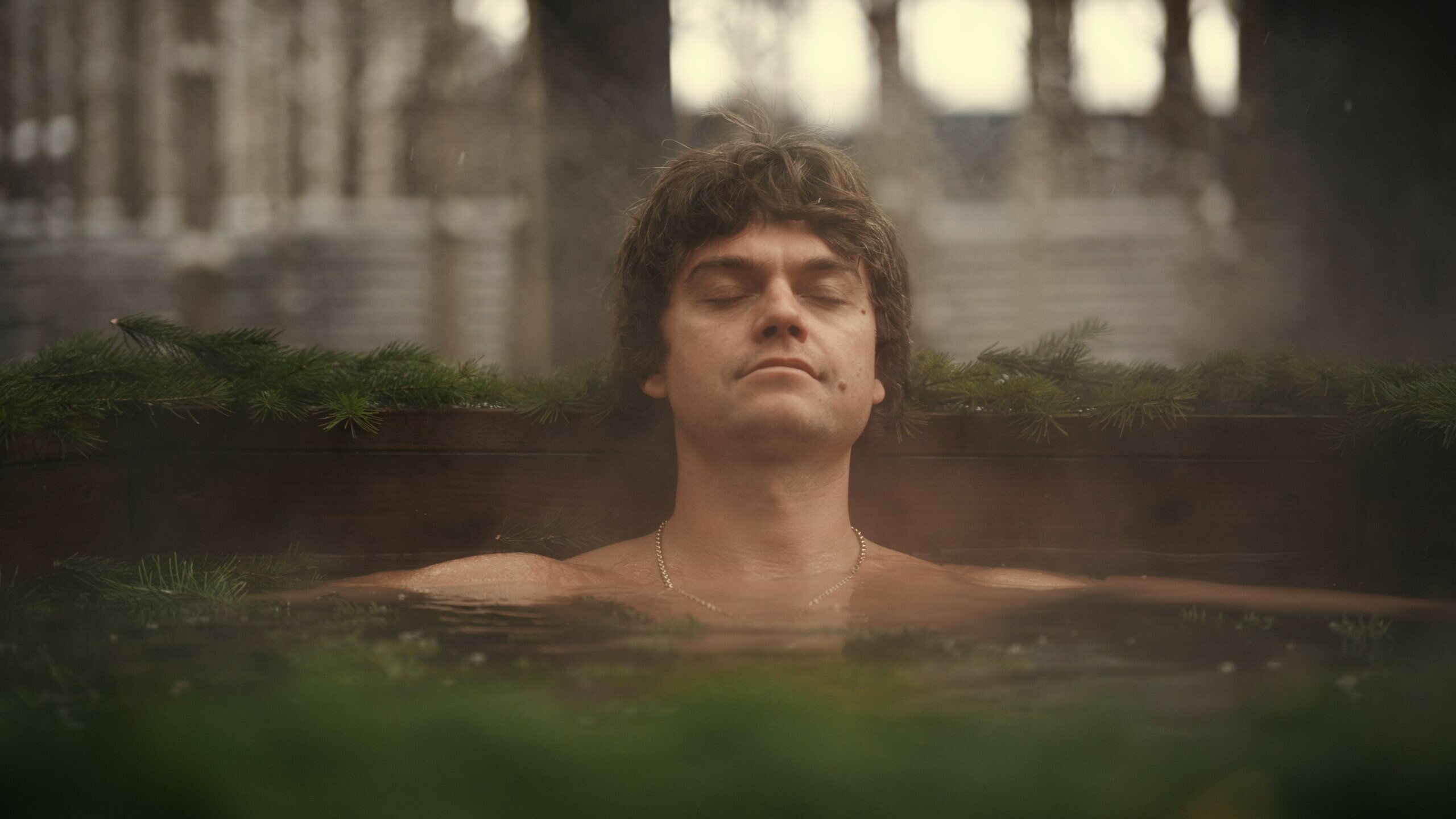 Фото Место под соснами