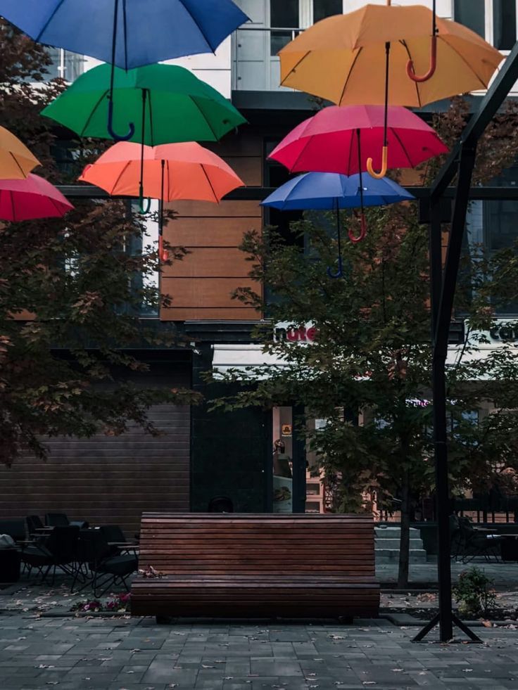 Фото Нохчо-Стар