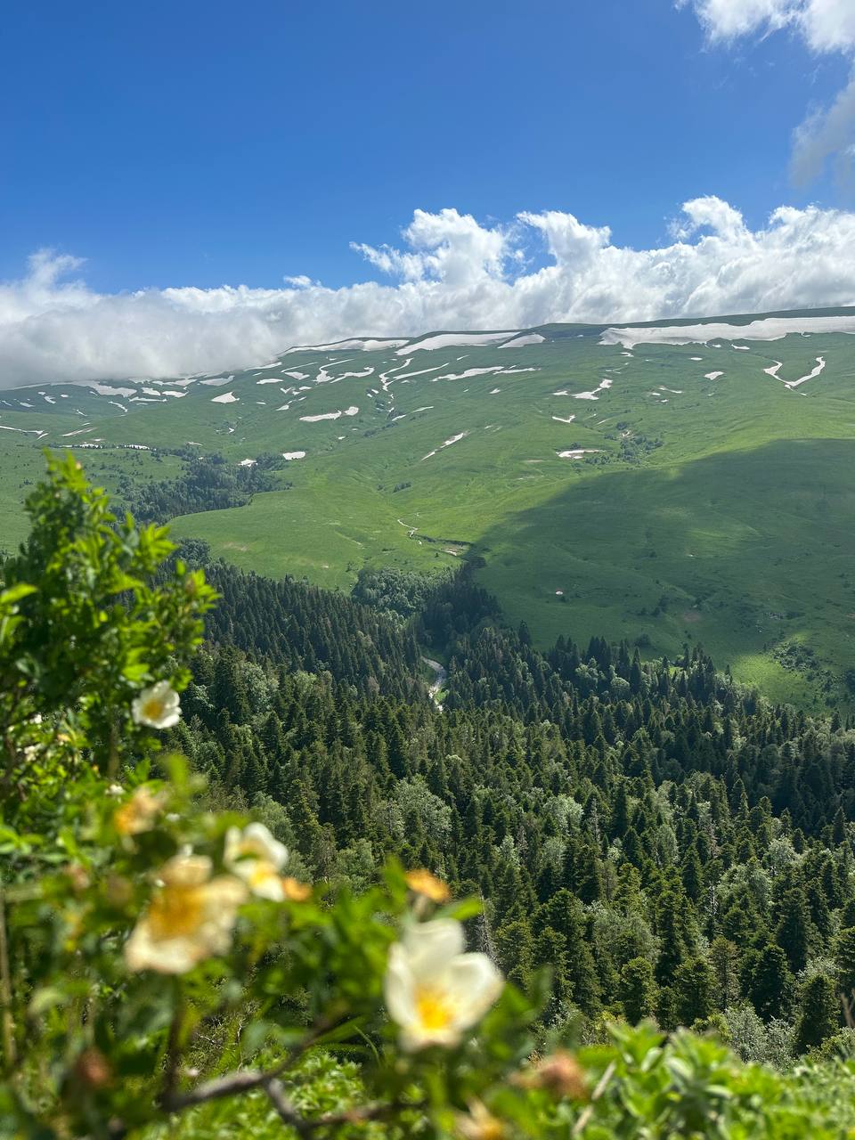 Фото Дом на Широком