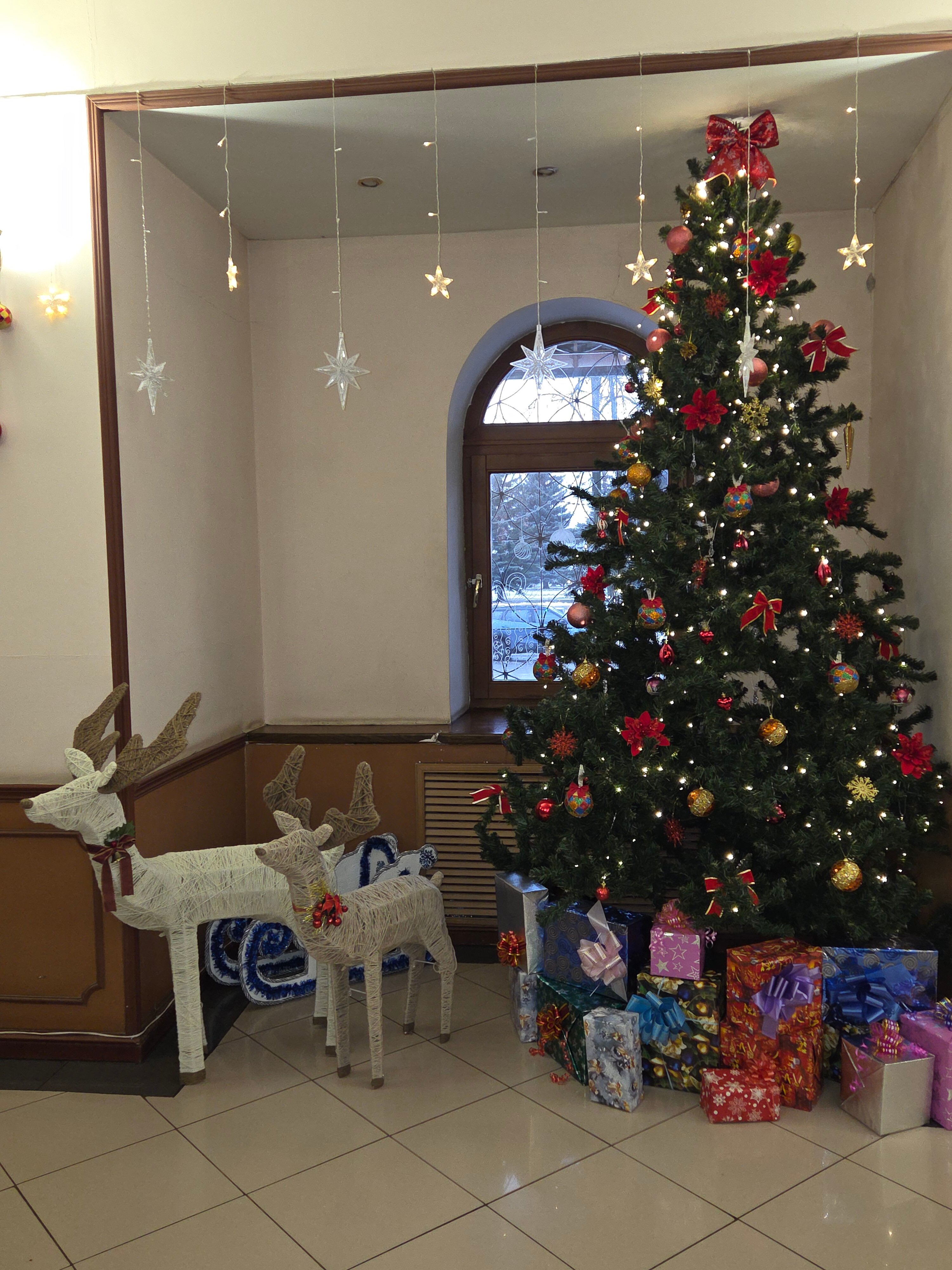 Фото Мещера