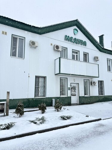 Медуза