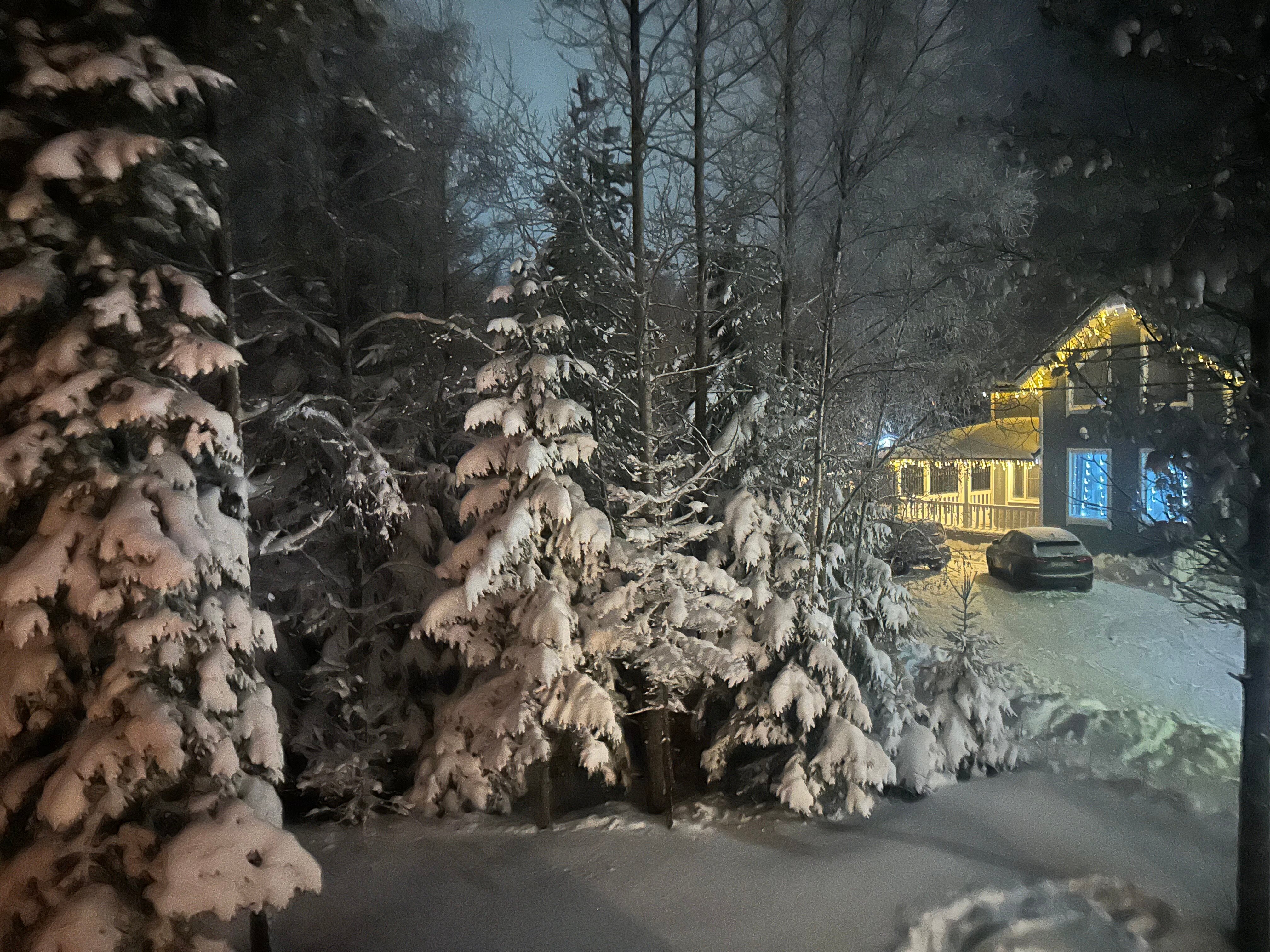 Фото Novozhilovo Park