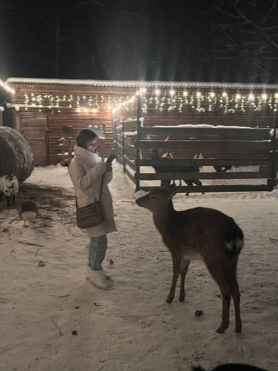 Фото Дикое подворье