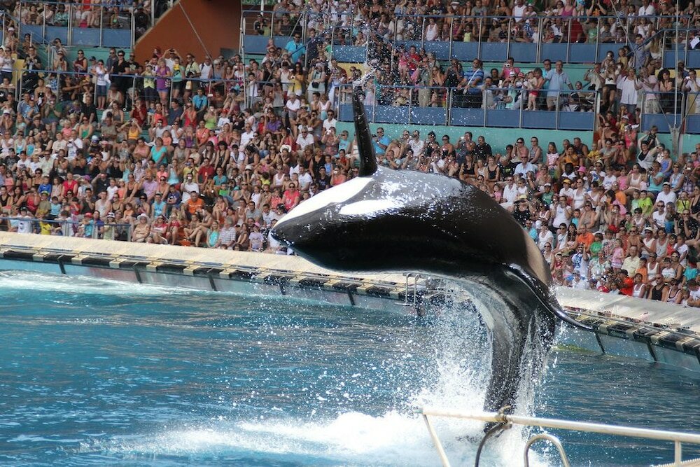 Фото Best Western Hotel Journel Antibes-Juan-les-Pins