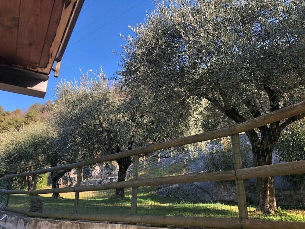 Фото Hotel Isola Verde