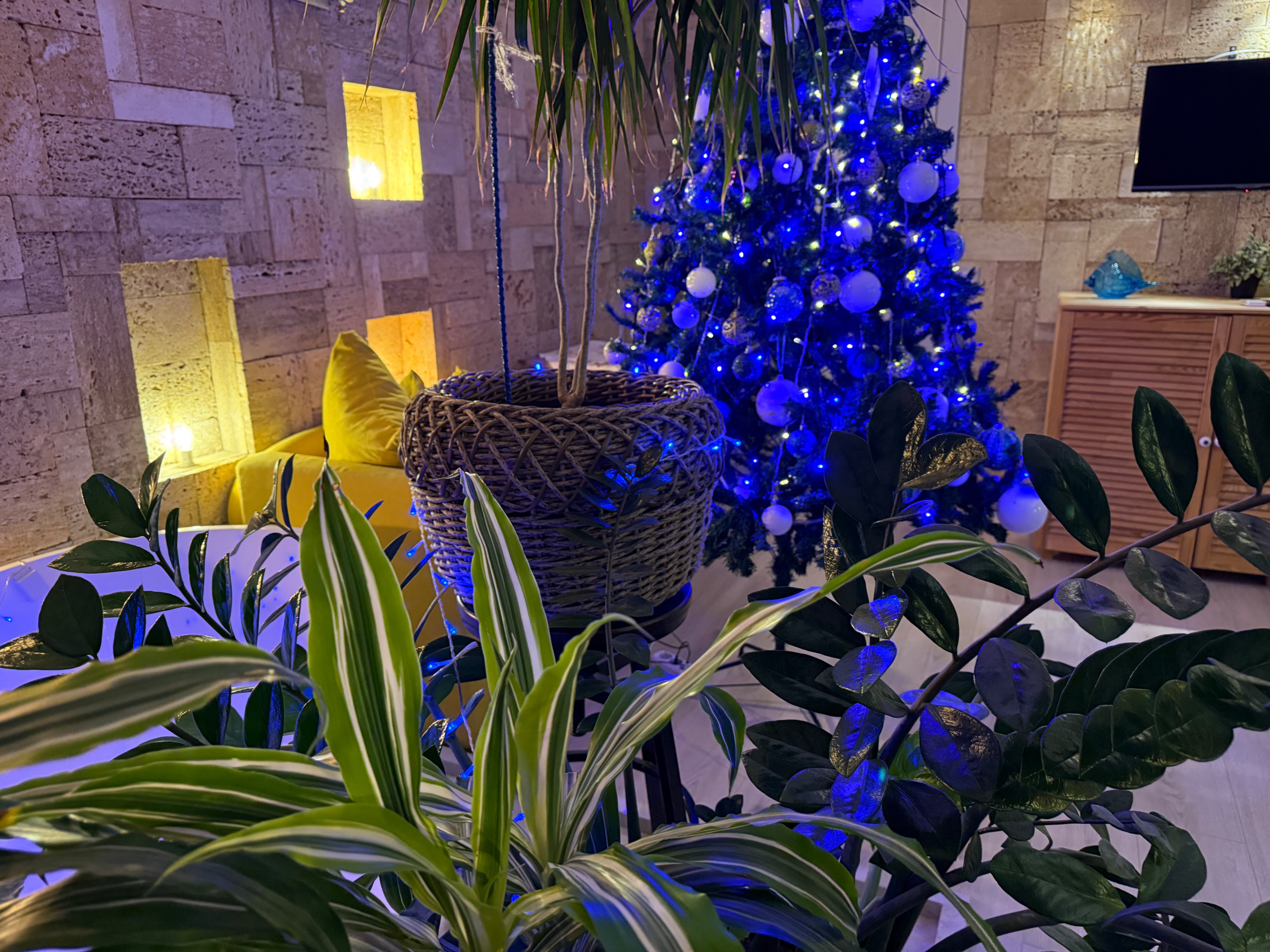 Фото Вилла Лаванда