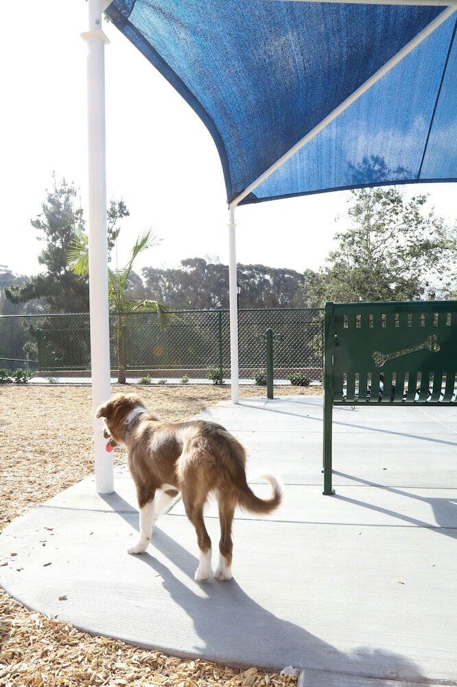 Фото Four Seasons Residence Club Aviara, North San Diego