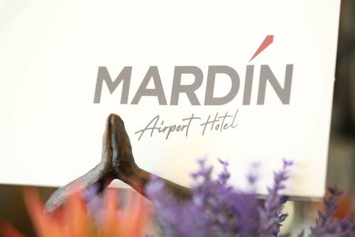 Гостиница Mardin Airport Otel в Артуклу