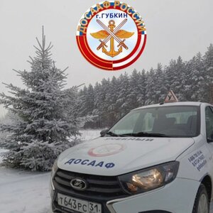 Логотип автошколы «Губкинская школа ДОСААФ России»