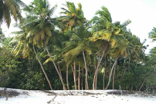 Гостиница Liyela Retreat Maldives в Маафуши