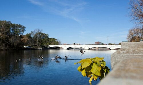 Гостиница Hilton Vacation Club Varsity Club South Bend, In в Мишавоке