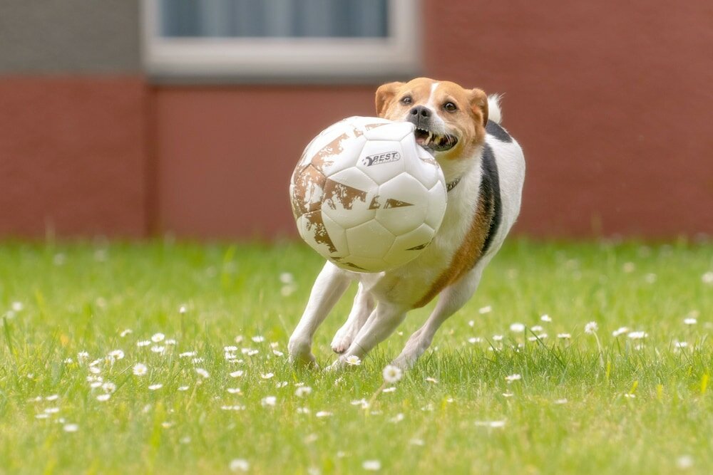 Фото Mercure Hotel Aachen Europaplatz