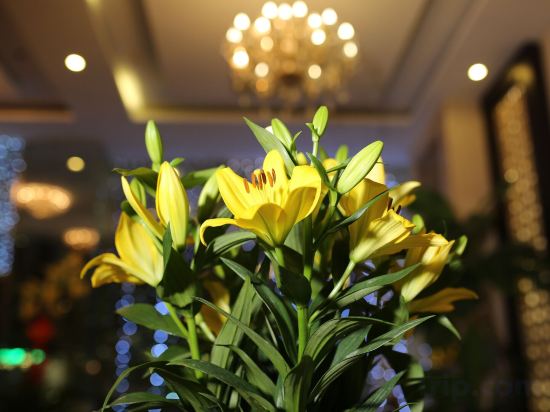 Фото Hoang Sa Hotel