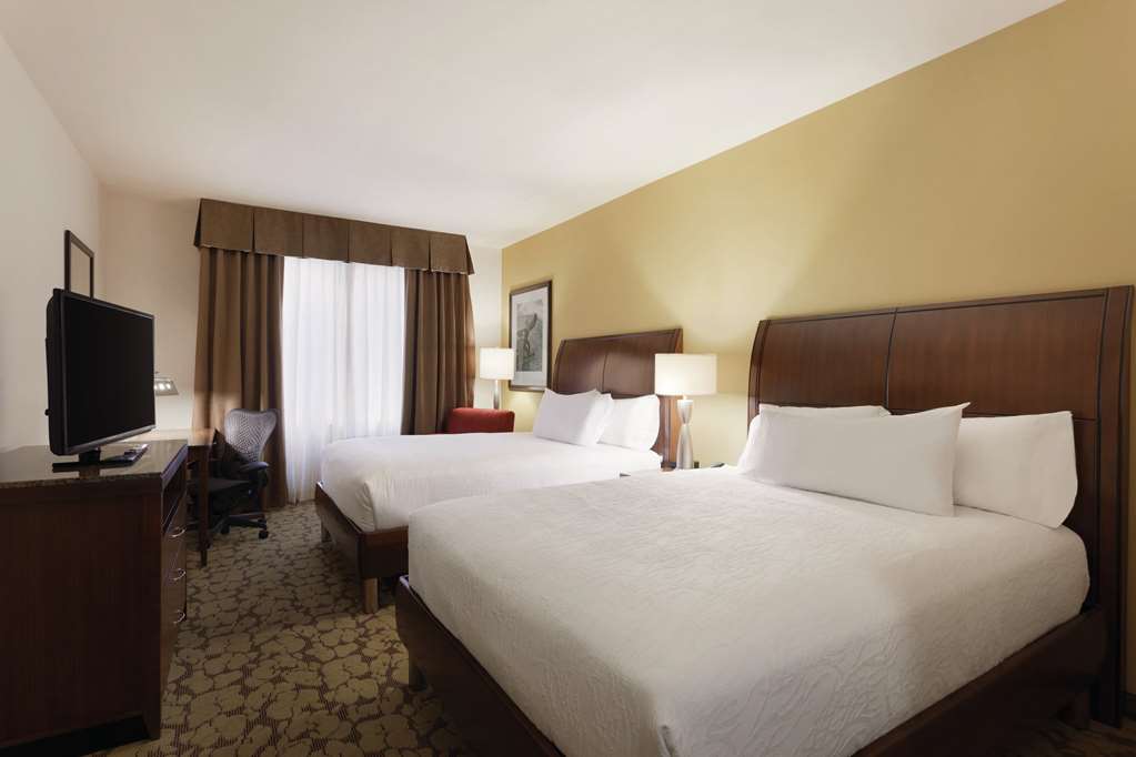 Фото Hilton Garden Inn Rochester Downtown
