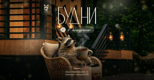 Енот