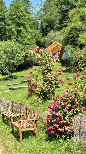 Глэмпинг Eco Village Sochi