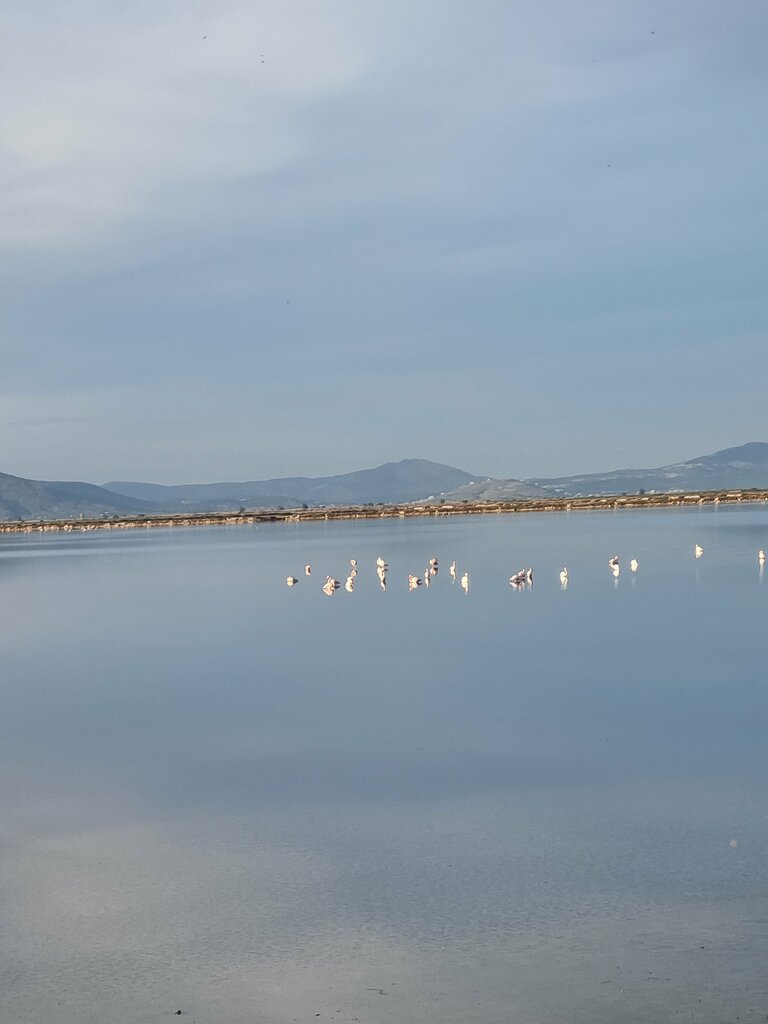 Exhibition center Kizilirmak Delta Bird Paradise, Bafra, photo