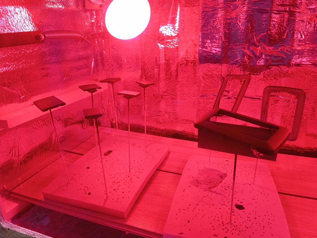 Tuning studio Аква Виктор, Yaroslavl, photo