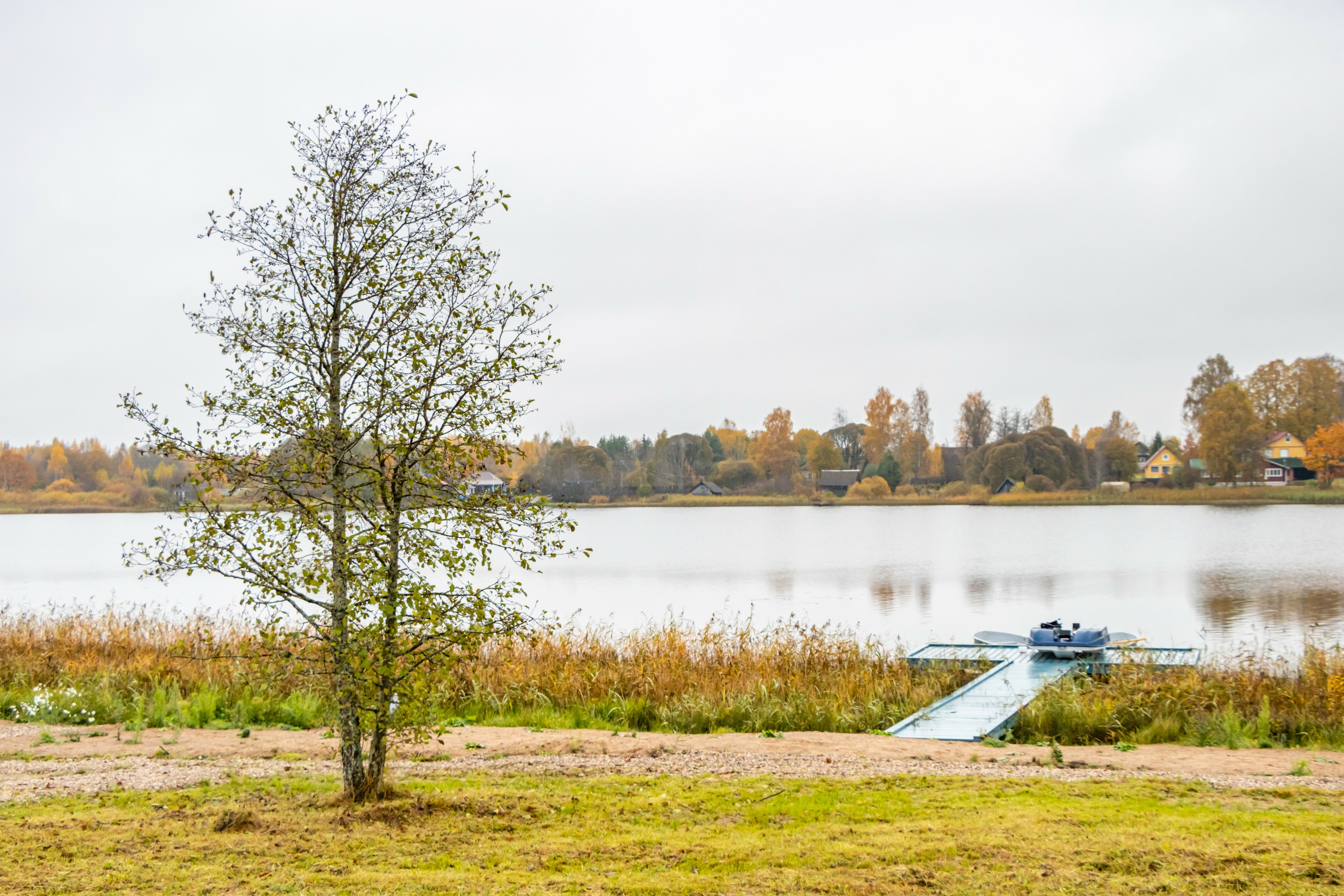 Фото Мыза Иногоща