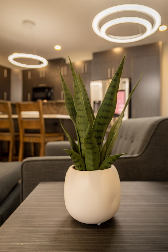 Фото Quality Inn Sunshine Suites