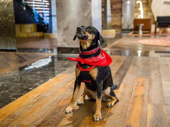 Фото Bobby Hotel