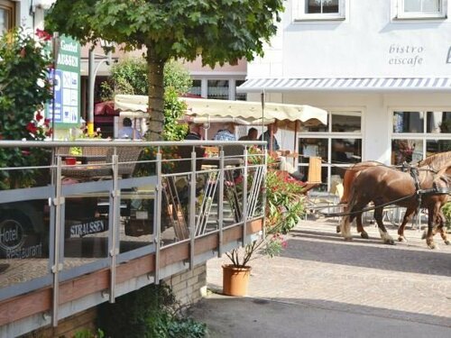 Гостиница Hotel-Restaurant Straussen в Донауверте