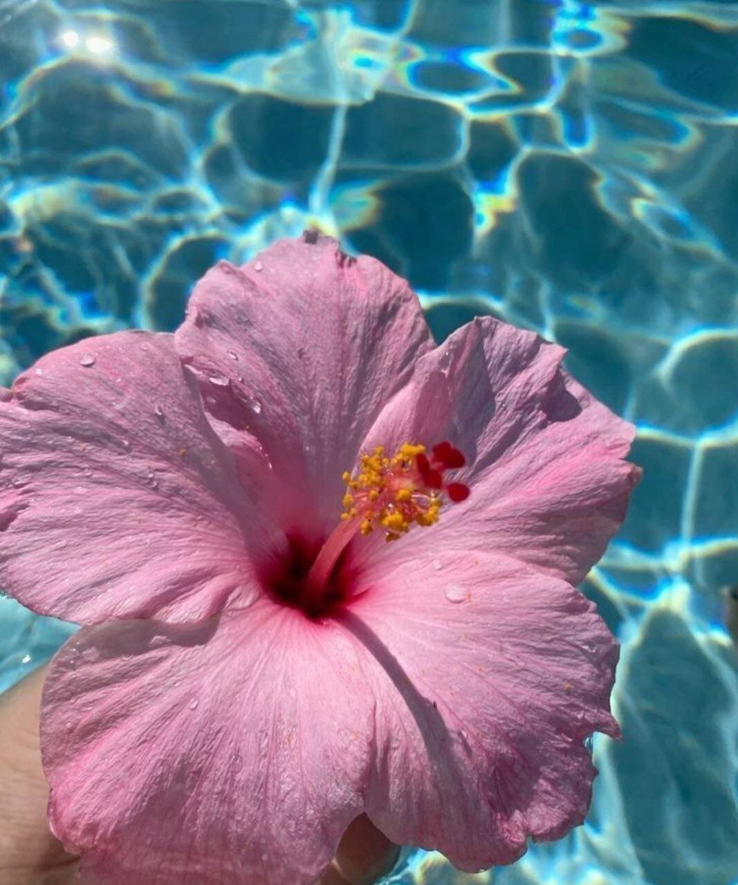 Фото Маша дома